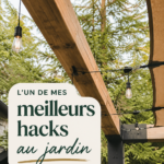 Un espace jardin bien entretenu avec des fleurs colorées et des plantes verdoyantes.