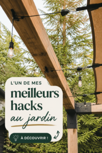 Un espace jardin bien entretenu avec des fleurs colorées et des plantes verdoyantes.