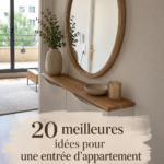 Entrée d'appartement décorée avec style et fonctionnalité