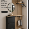 Hall d'entrée avec un décor chaleureux et accueillant, incluant des meubles de rangement et des plantes.