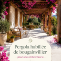 Bougainvillier en fleur sur une pergola, créant une ambiance méditerranéenne