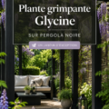 Une pergola noire élégante avec des plantes grimpantes luxuriantes