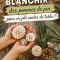Pommes de pin blanchies disposées sur une table boho chic.
