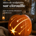 Décoration intérieure bohème avec des éléments naturels et colorés.